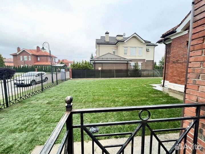 Рулонный газон 