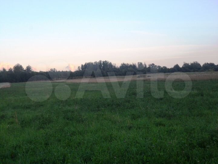 Участок 7 га (СНТ, ДНП)