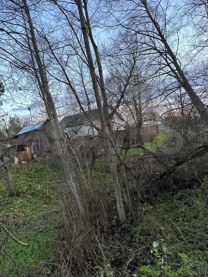 Участок 25 сот. (ИЖС)