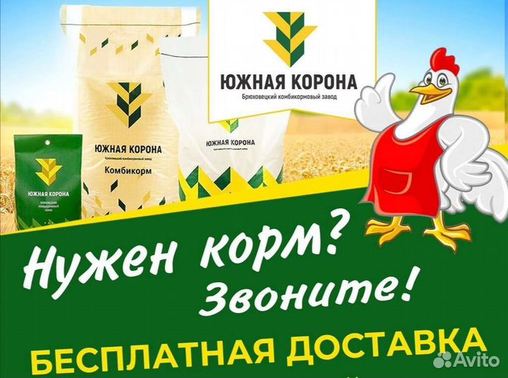 Пшеница Кукуруза Комбикорма