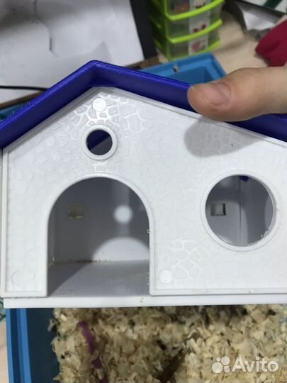 Продам хомяка с клеткой