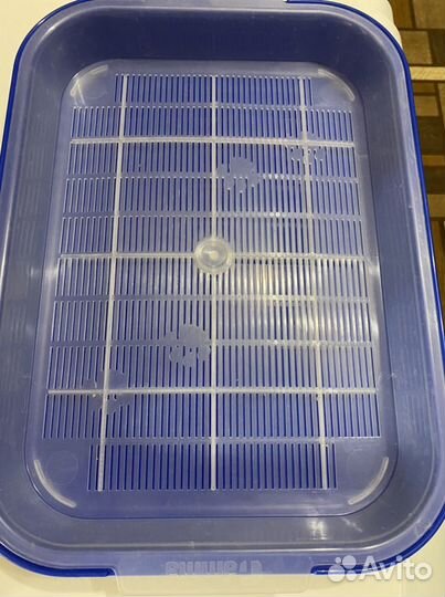 Лоток для кошек и жидкость для приучения к лотку