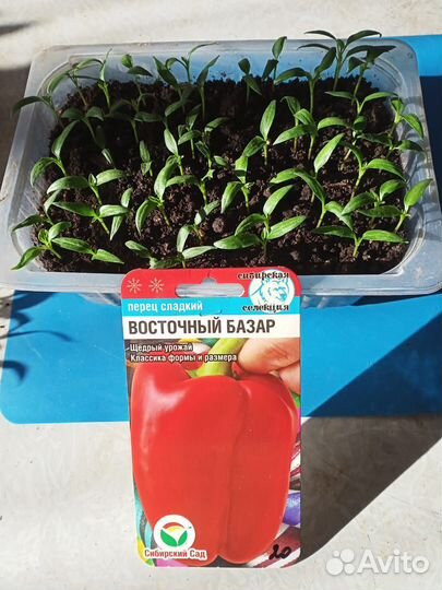 Перец