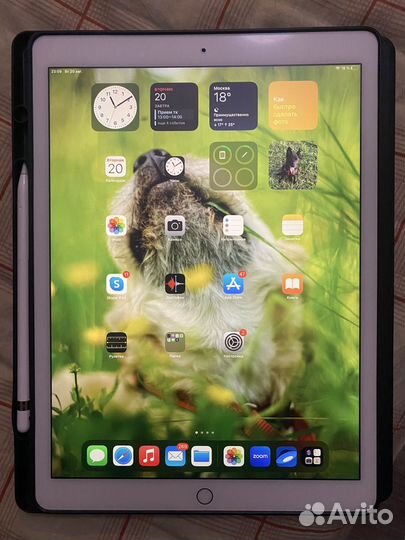 iPad pro 12.9 2015 apple pencil