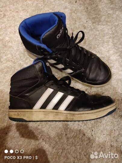 Adidas Neo Hoops 3.0