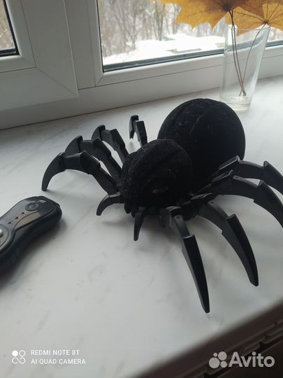 Тарантул большой на пульте