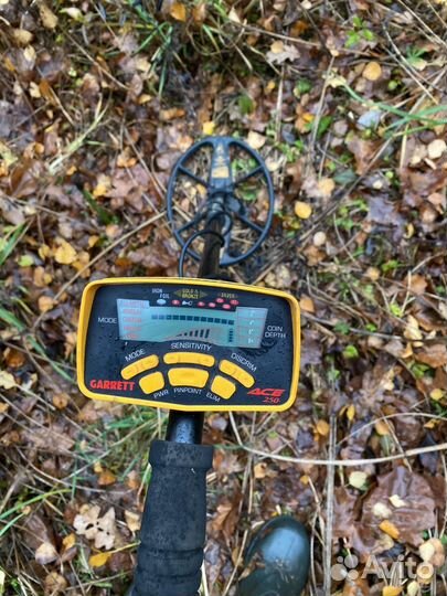 Металлоискатель аренда прокат