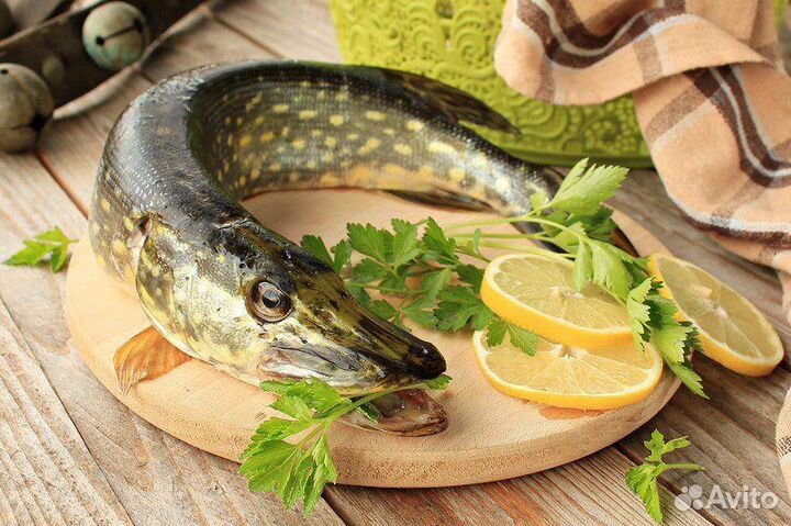Свежая рыба