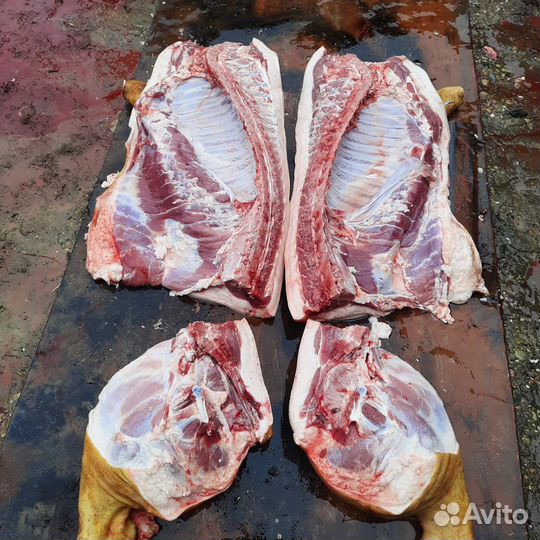 Домашняя свинина