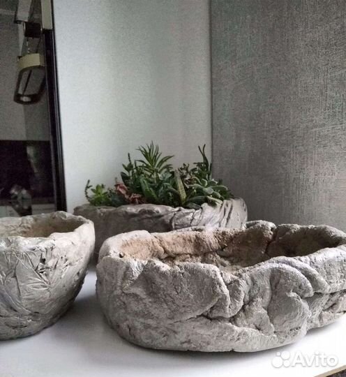 Кашпо для суккулентов