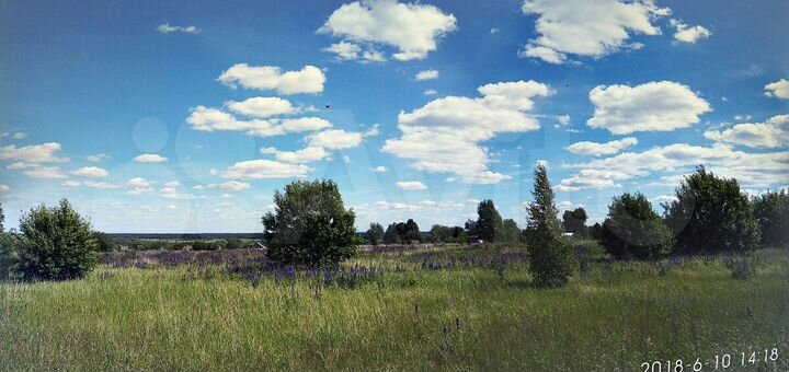 Участок 38 сот. (ИЖС)