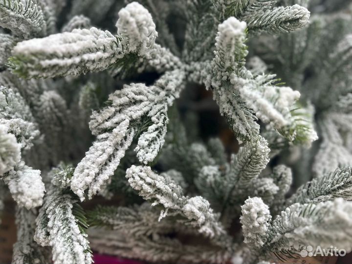 Новогодняя елка в снегу