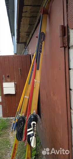 Беговые лыжи