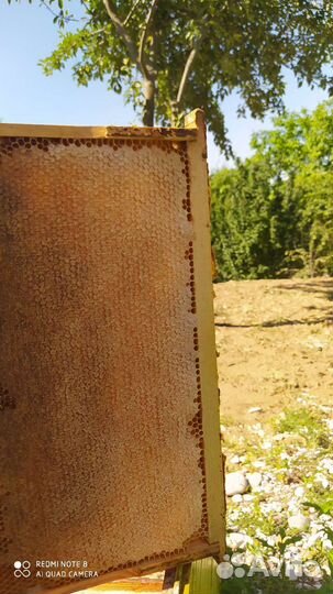 Продаю мед натуральный