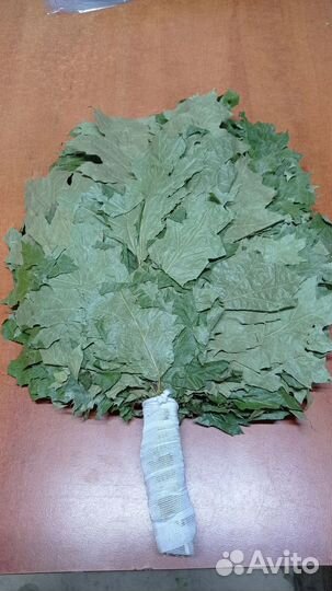 Дубовые веники, 2024 года