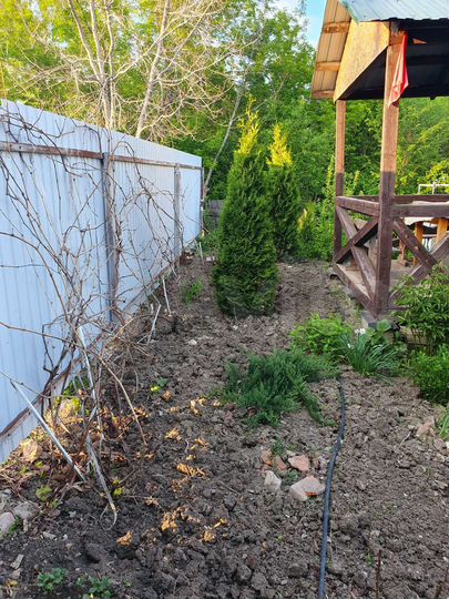 Дом 20,3 м² на участке 15 сот.