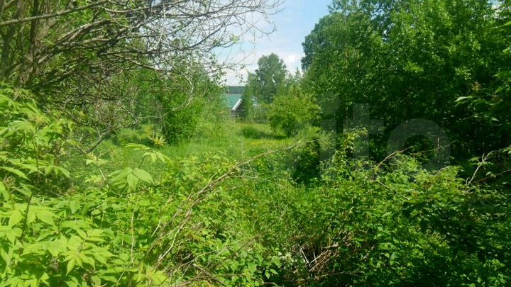 Участок 22 сот. (ИЖС)