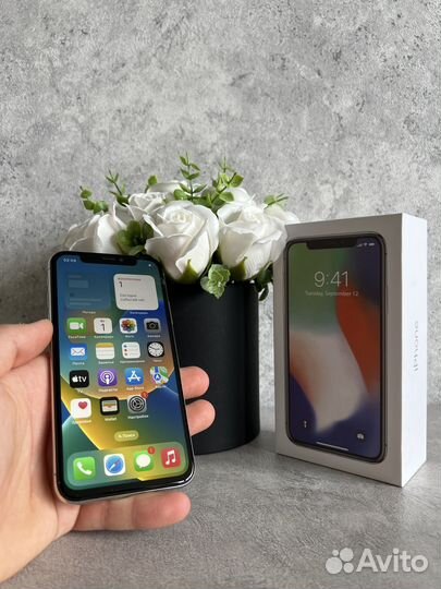 iPhone X, 64 ГБ