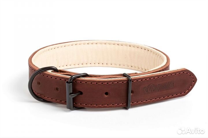 Ошейники для собак