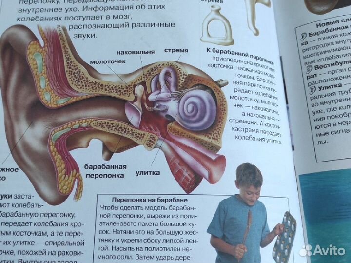 Энциклопедия для школьника