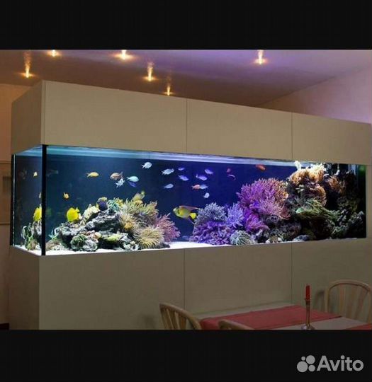 Чистка аквариума