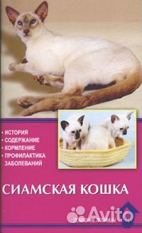 Книги о кошках разных пород