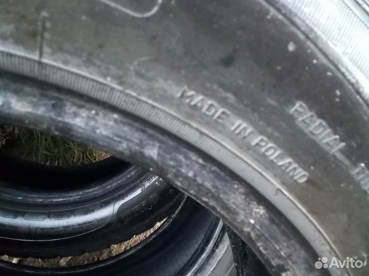 Sava Eskimo Stud 175/65 R14