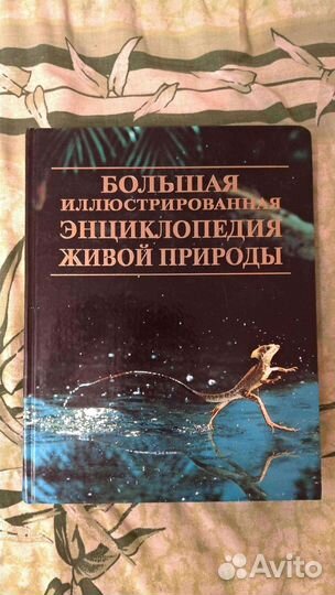 Книги-энциклопедии