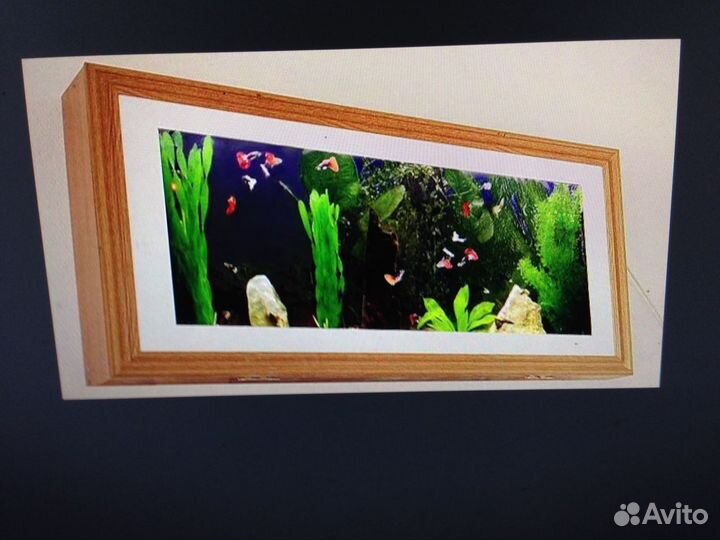 Аквариум
