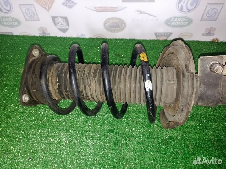 Амортизатор передний правый Форд Фокус 3