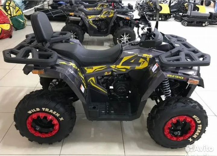 Квадроцикл Motoland Wild Track X 200 черно-красный