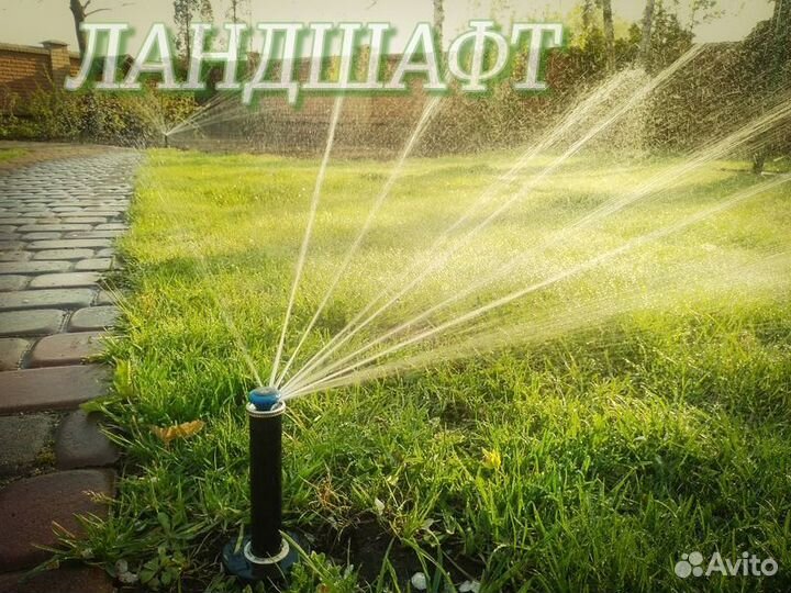 Универсальный сорт Теневыносливого газона Одинцово