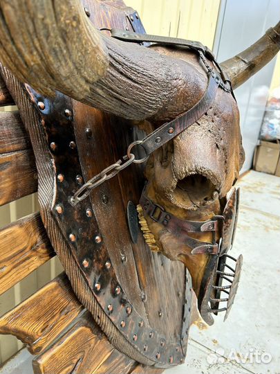 Череп доисторического бизона