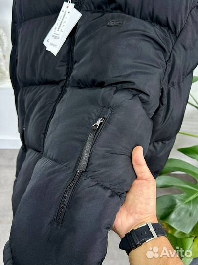 Пуховик Lacoste Back Logo Jacket