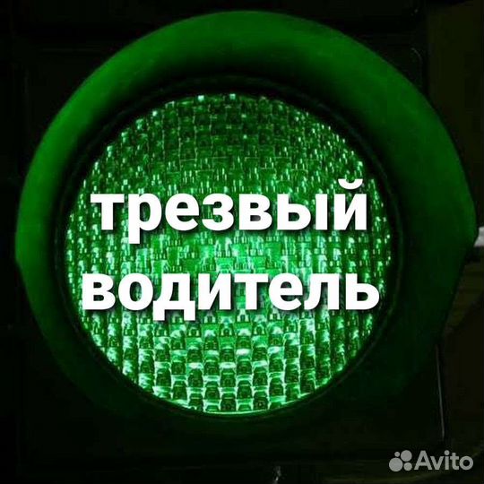 Трезвый водитель