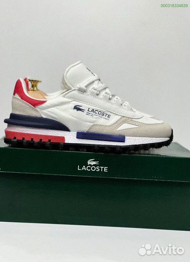 Lacoste: кроссовки для мужчин 41-45 размера