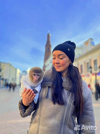 Экскурсии по г. Казань с посещением Кремля