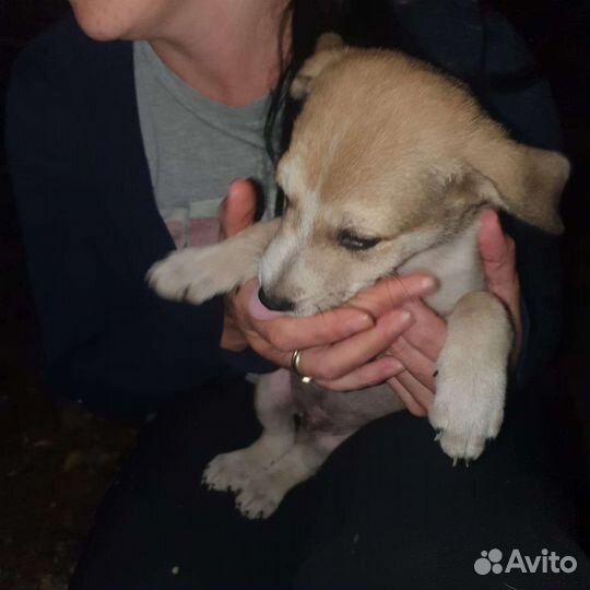 Выкинули в мешке