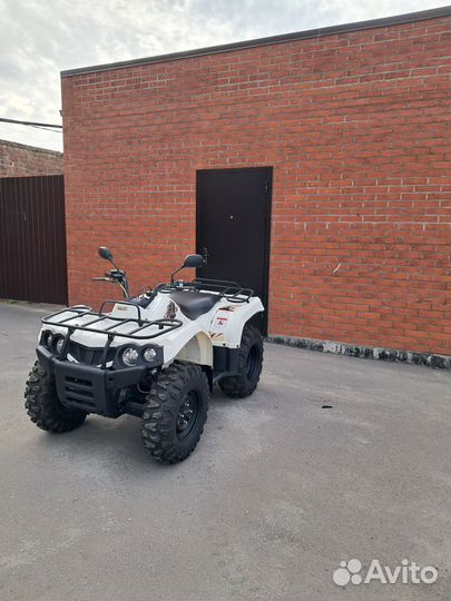 Новый квадроцикл EFI Baltmotors Striker 400