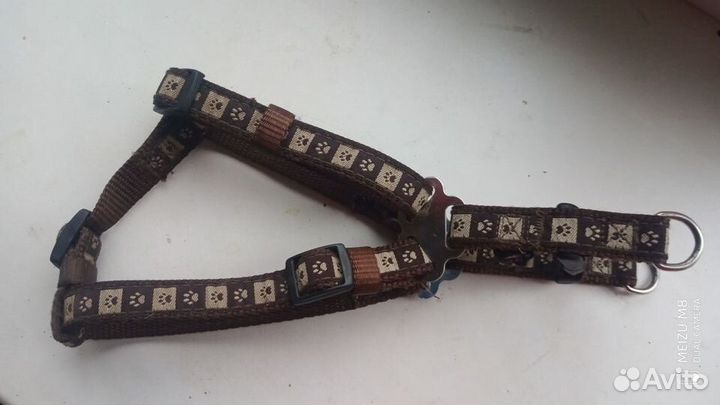 Поводок для собак, намордник