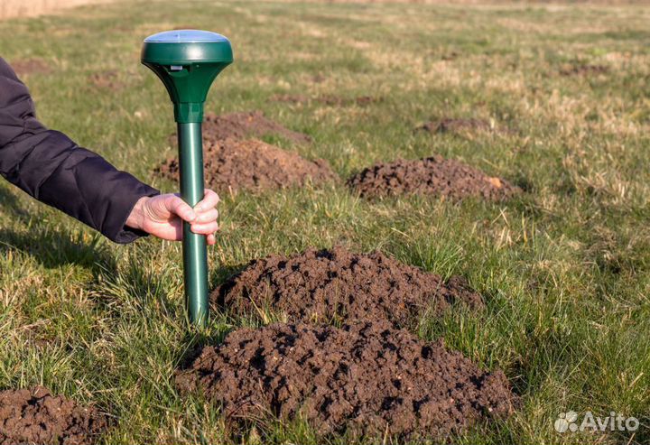 Уничтожение кротов клещей комаров ос борщевика