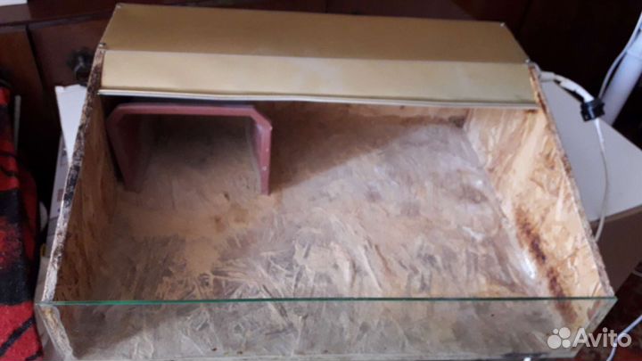 Террариум для сухопутной черепахи