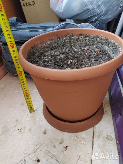 Большой цветочный горшок