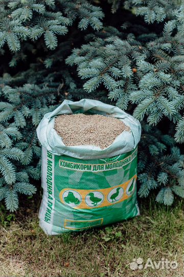 Комбикорм для бройлеров рост