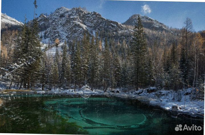 Тур поездка Алтай зимний экскурсия до 7 дней