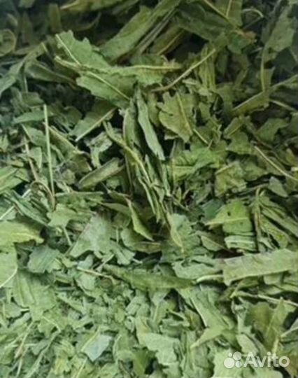 Иван-чай (Кипрей)