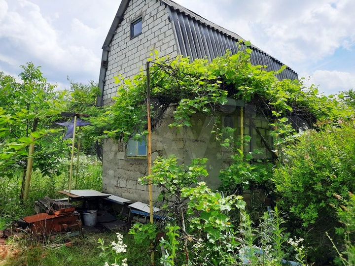 Старая дача белгород. Шопино Белгородская область фото. Дача Белгород. Дачный Строитель