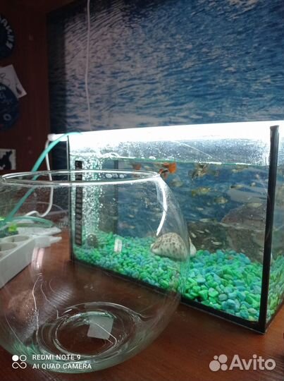 Аквариум с рыбками