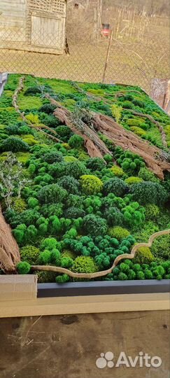 Панно из стабилизированного мха