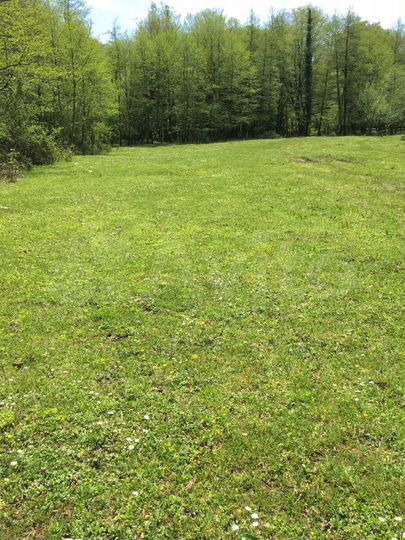 Участок 10 га (ИЖС)